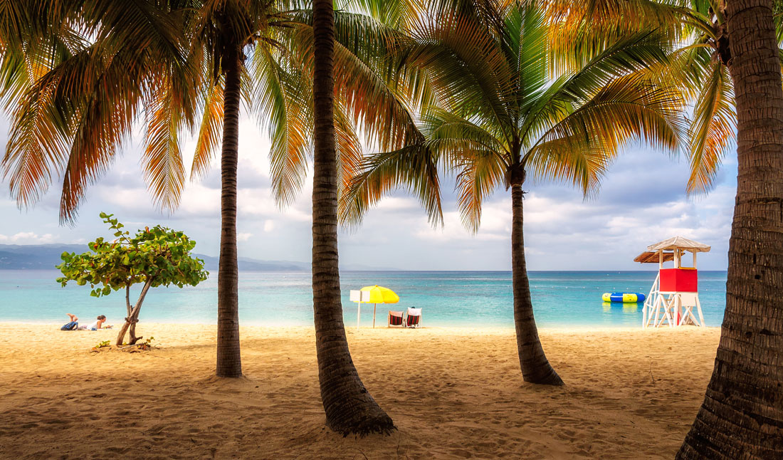 Strand i Jamaica med hög palm