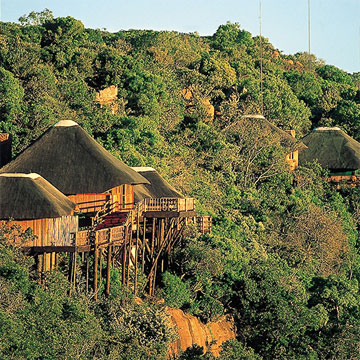 Entabeni Safari Conservancy, Sydafrika